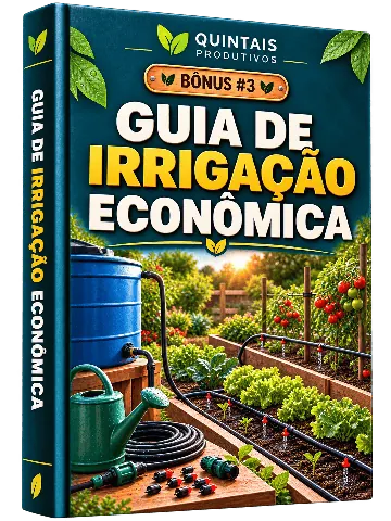 Guia de Irrigação Econômica