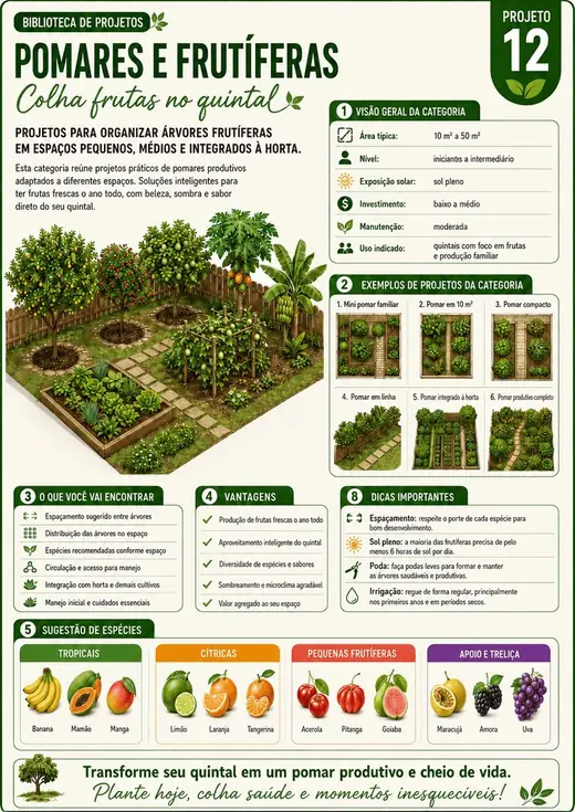 Página de projeto do Quintal Produtivo 2